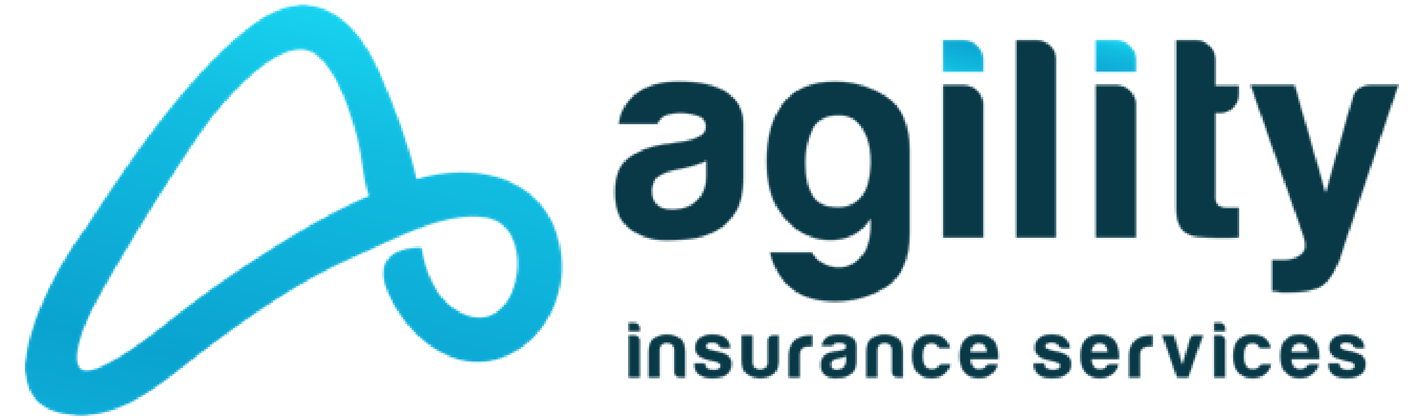 Agility Insurance Services